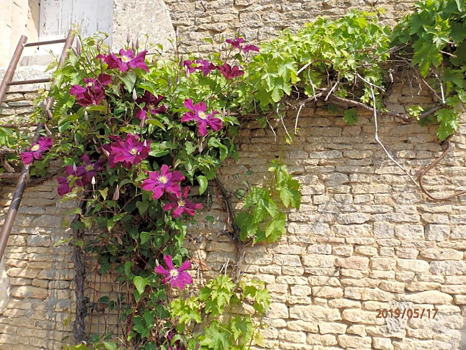 Safranière de la Venelle du Moulin