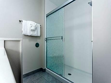 2 Queen Suite Sofa Bed