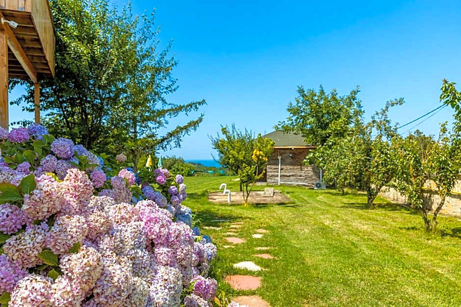 Agva Teras Garden Hotel & Bungalow