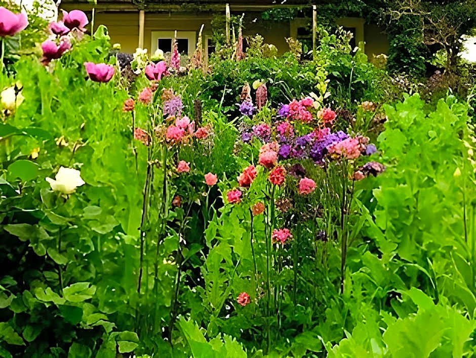 Olde Mill House Bed & Breakfast and Cycle Hire