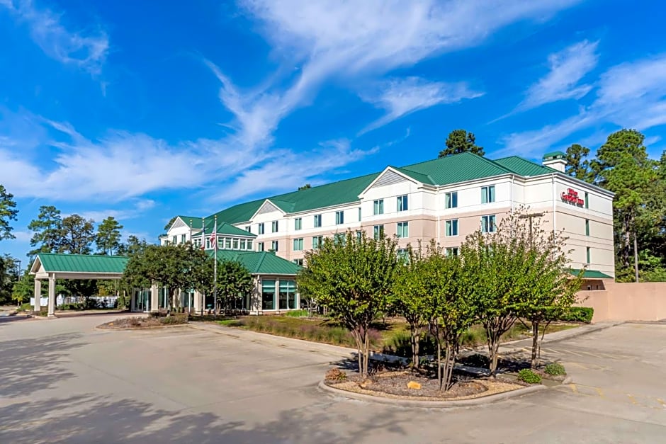 Hilton Garden Inn Houston/The Woodlands