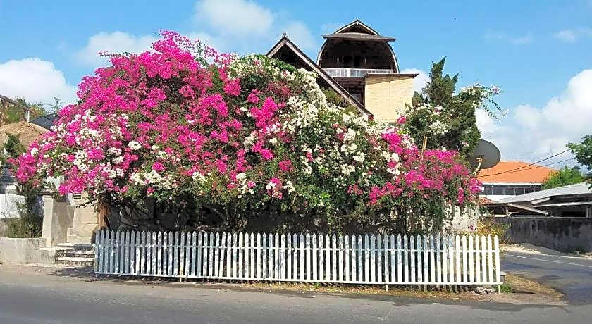 The Dream Home Wooden Classic Villa