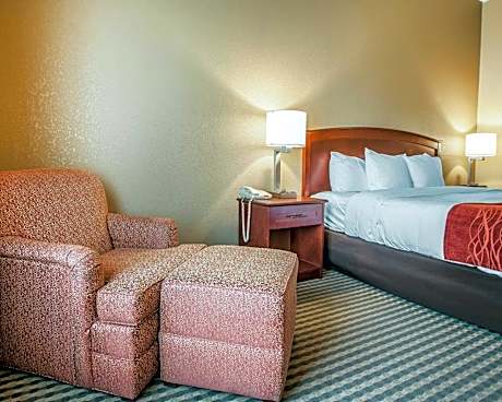 Efficiency King Suite - Accessible/Non-Smoking