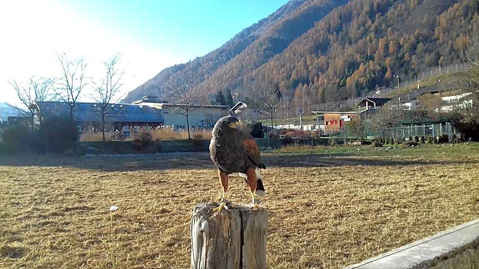 B&B Nido Delle Aquile