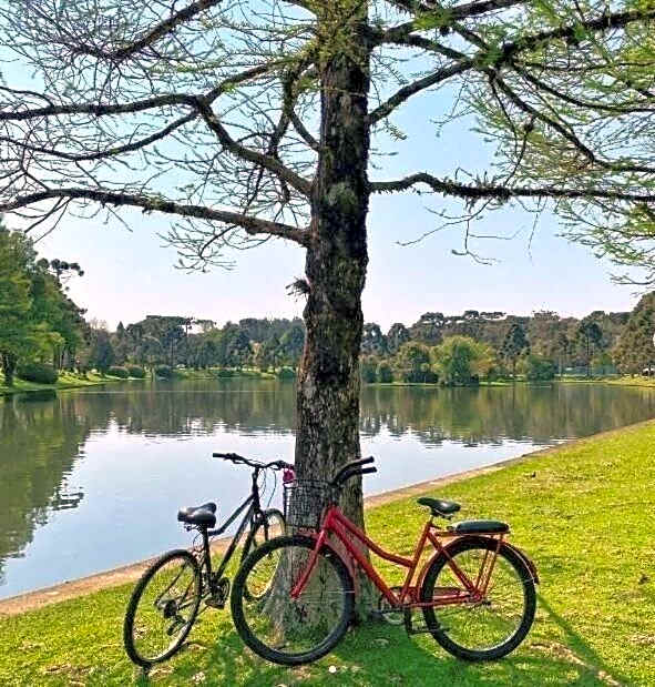 Fantástico Studio Royal Laje de Pedra MV (3022)