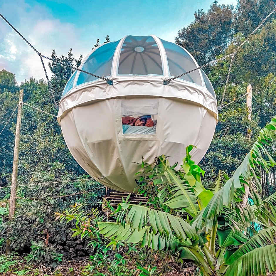 Quinta do Abacate - Glamping Park