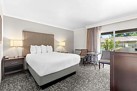 1 Queen Bed, Non-Smoking, Microwave, Refrigerator, High Speed Internet Access