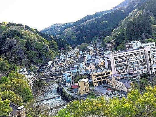 Otomeyuri