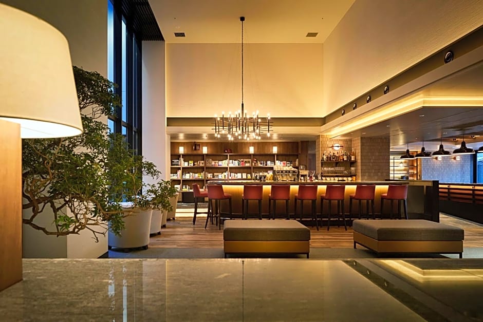 Hotel Resol Trinity Kyoto Oikefuyacho
