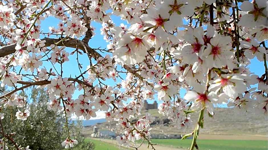 Hospederia del Zenete