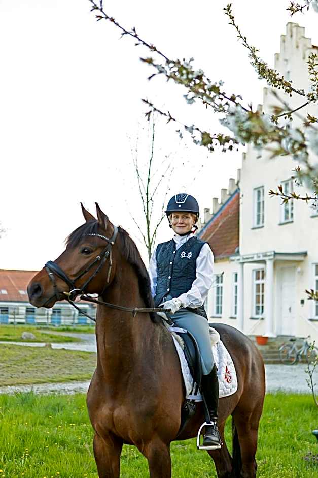 Boutiquehotel Gut Tribbevitz auf Rügen