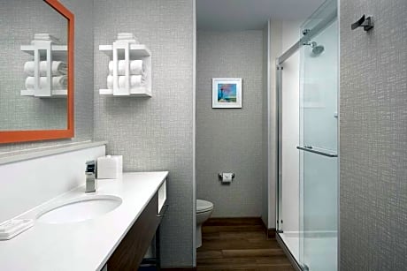 1 King Mobility Access Roll-In Shower Nonsmok