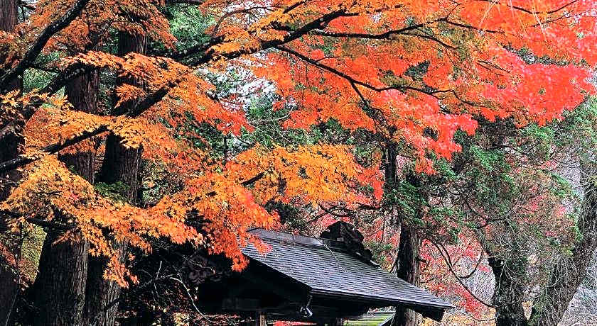 Onsen Yupopo