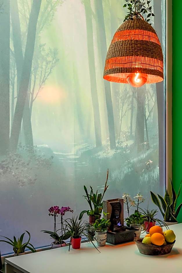 OXYGEN HOSTEL Capsula