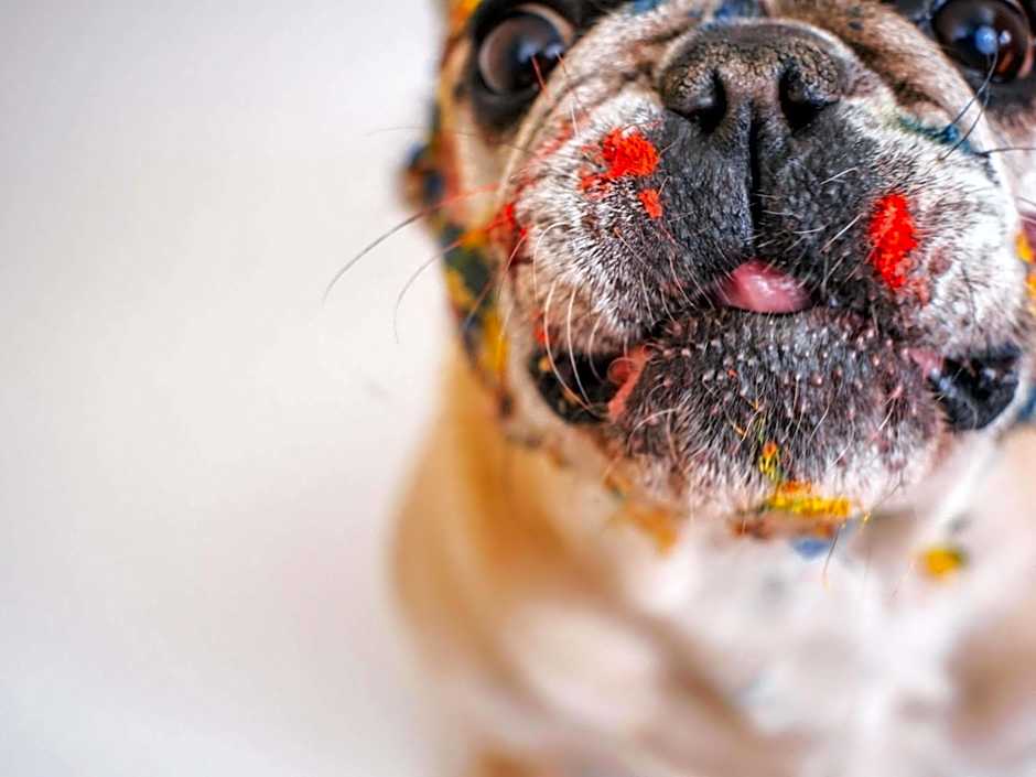 Hôtel Ibis Budget Nantes Ouest Atlantis Couëron