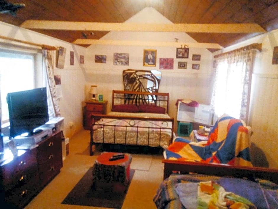 Sylvia Lodge A step back in time pet friendly Homestay