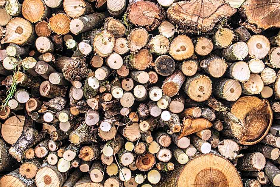 Fenix Hall Boutique Hotel Hallstatt