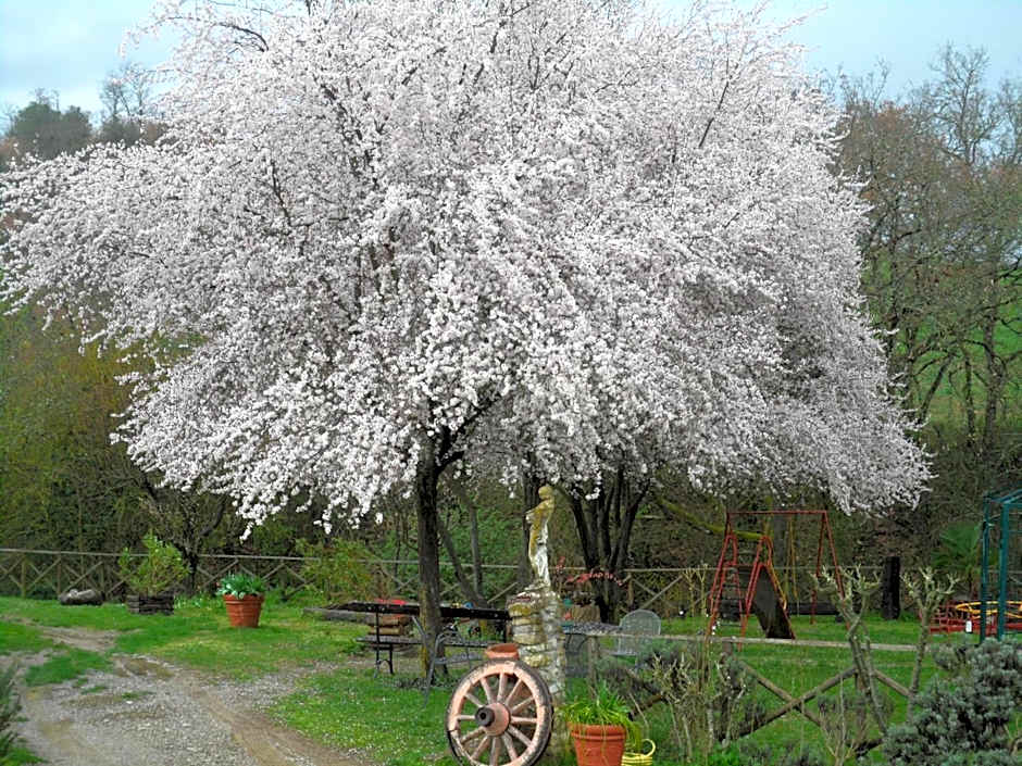 Locanda Delle Noci