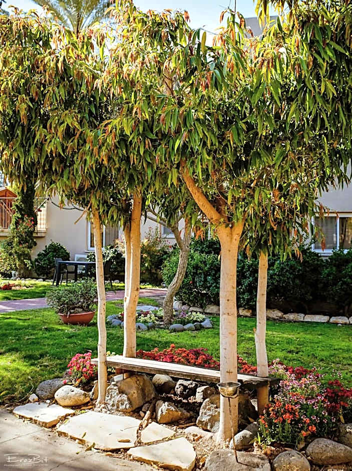 Shaar Hagolan Kibbutz Country Lodging