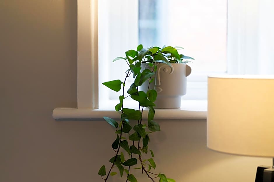 High Street Town House