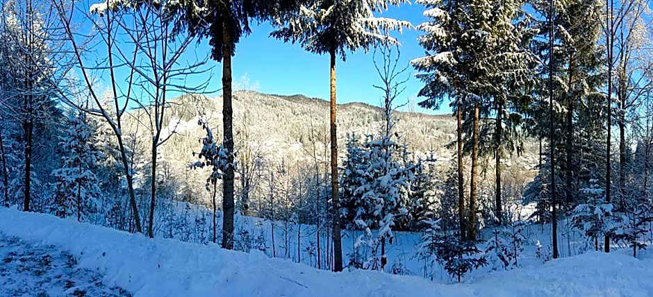 Șoaptele pădurii & Căsuța din pădure