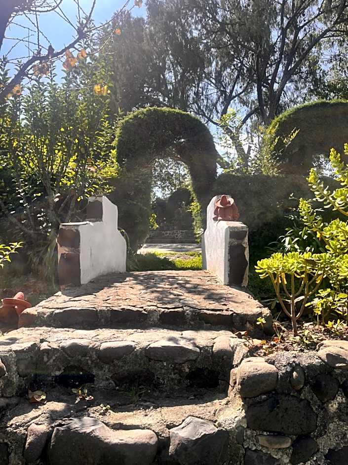 Cabañas Cumbres de Aguacatitla