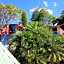 Hotel Tamarindo Village