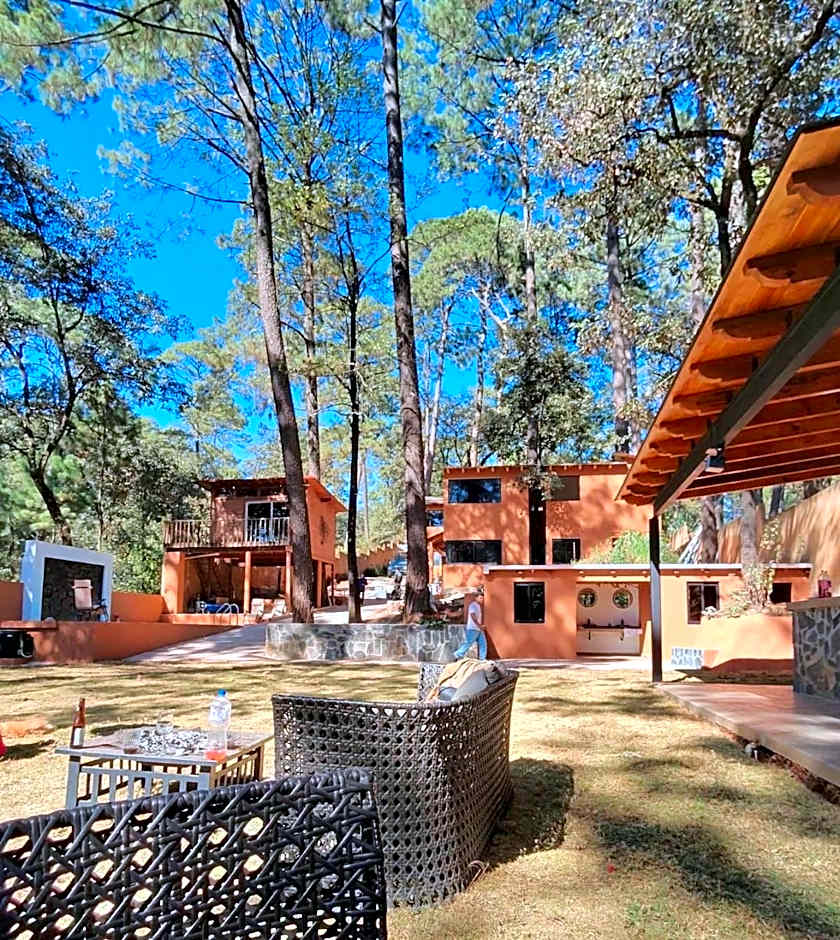 Bosque de Avandaro