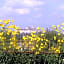Il Poggiolo Delle Rose Bed&Breakfast