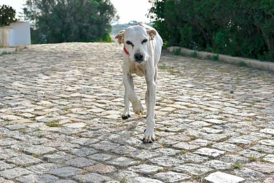 Monte Ponto