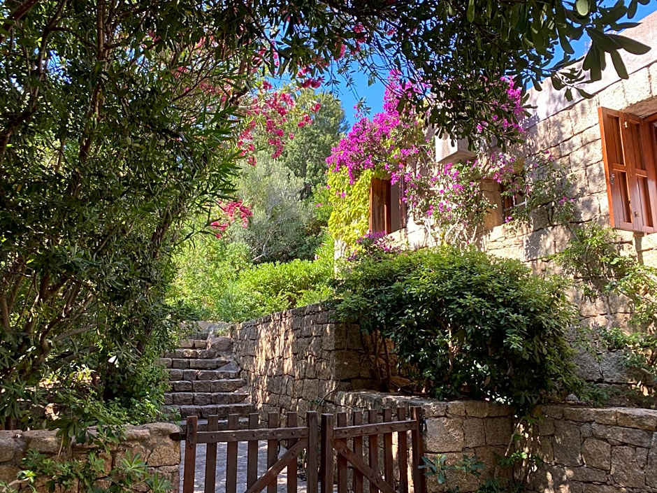 Domus Olivarum - Costa Smeralda 6 guest, 3 room, 2 bathroom, 2 parking Wifi