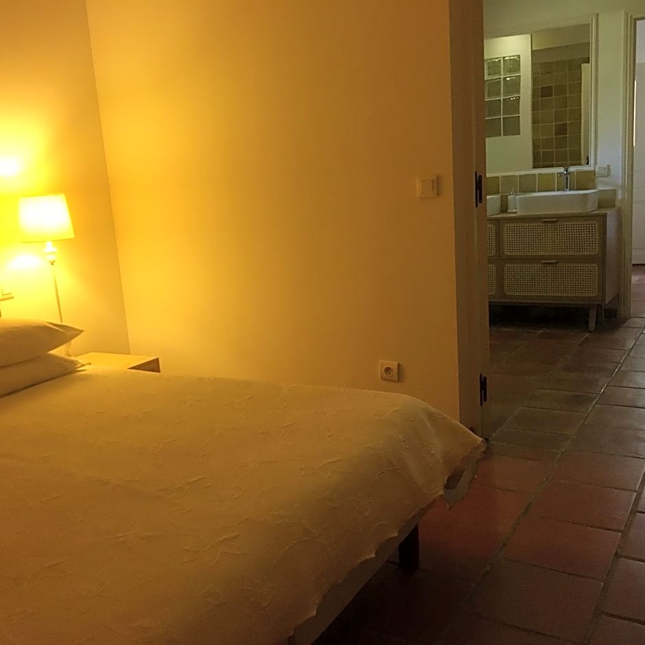 Clos des Vignes Pampelonne Vineyard