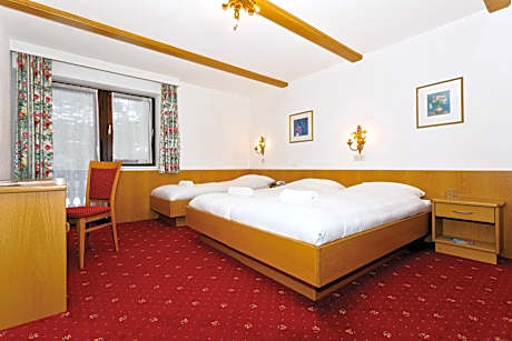 Double or Twin Room with Mountain View