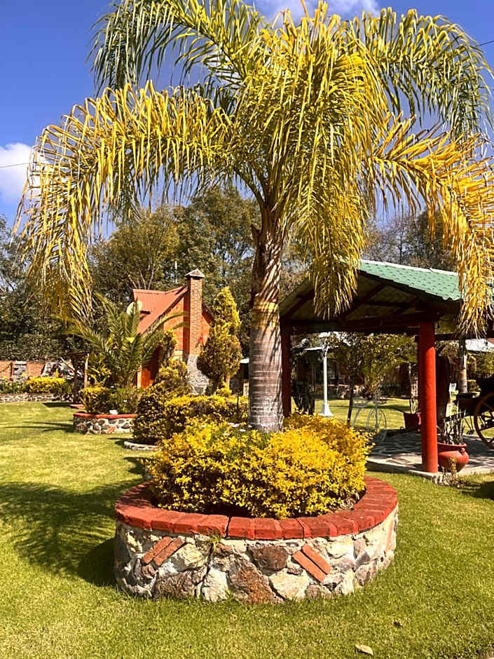 Cabañas Cumbres de Aguacatitla