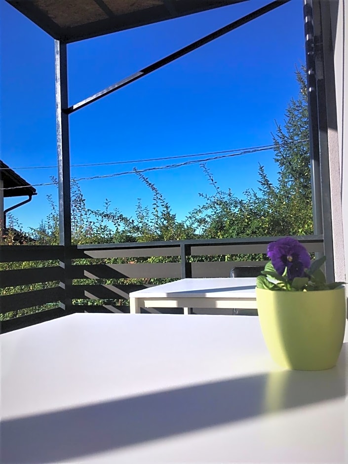 Water Lily Boutique B&B and Bungalow