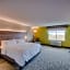 Holiday Inn Express and Suites Remington By IHG