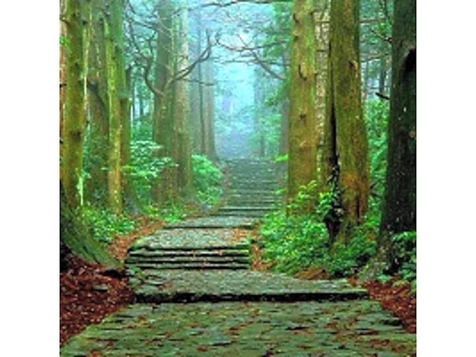 Pulse Inn Katsuura - Vacation STAY 44386v