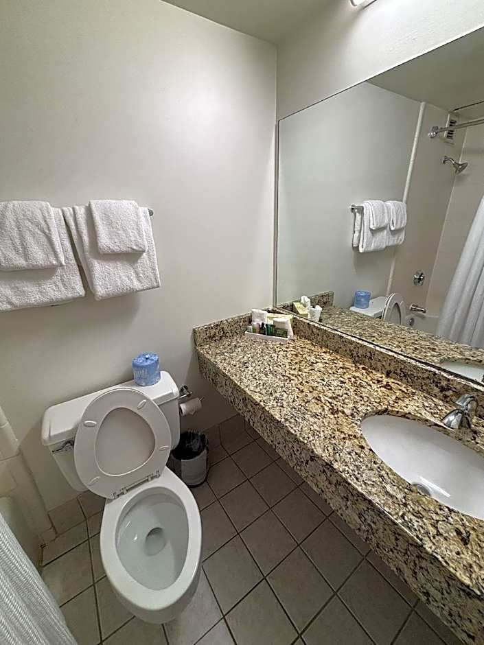 Hotel St. Regis Detroit