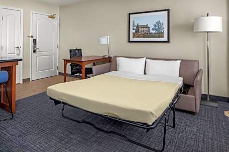 Suite, 1 Bedroom (1 Queen Bed and 1 Double Sofa Bed)