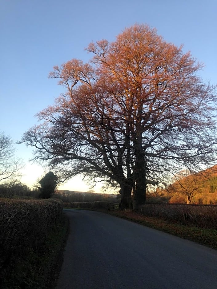 Henllys Estate B and B