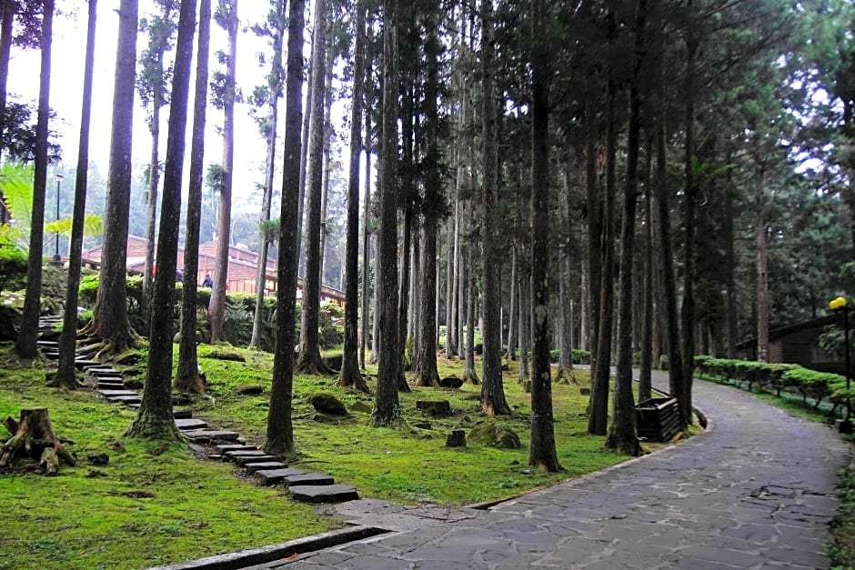 Xitou Youth Activity Center Hostel