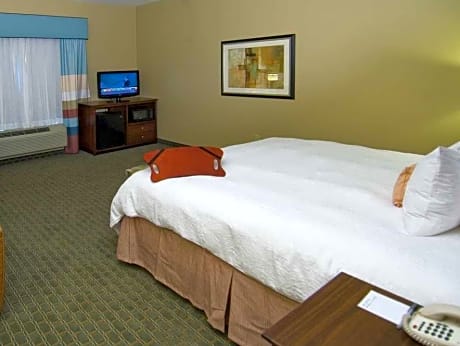 1 King Bed Non-Smoking