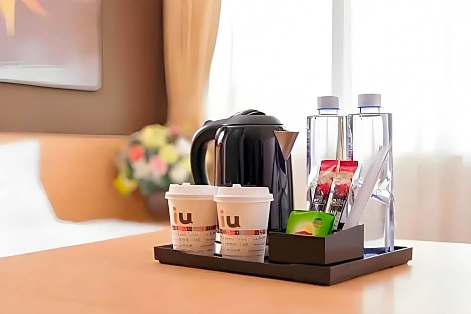 IU Hotel Anyang West Railway Station Yinxu Scenic Spot