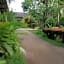 Baan Bua Guest House