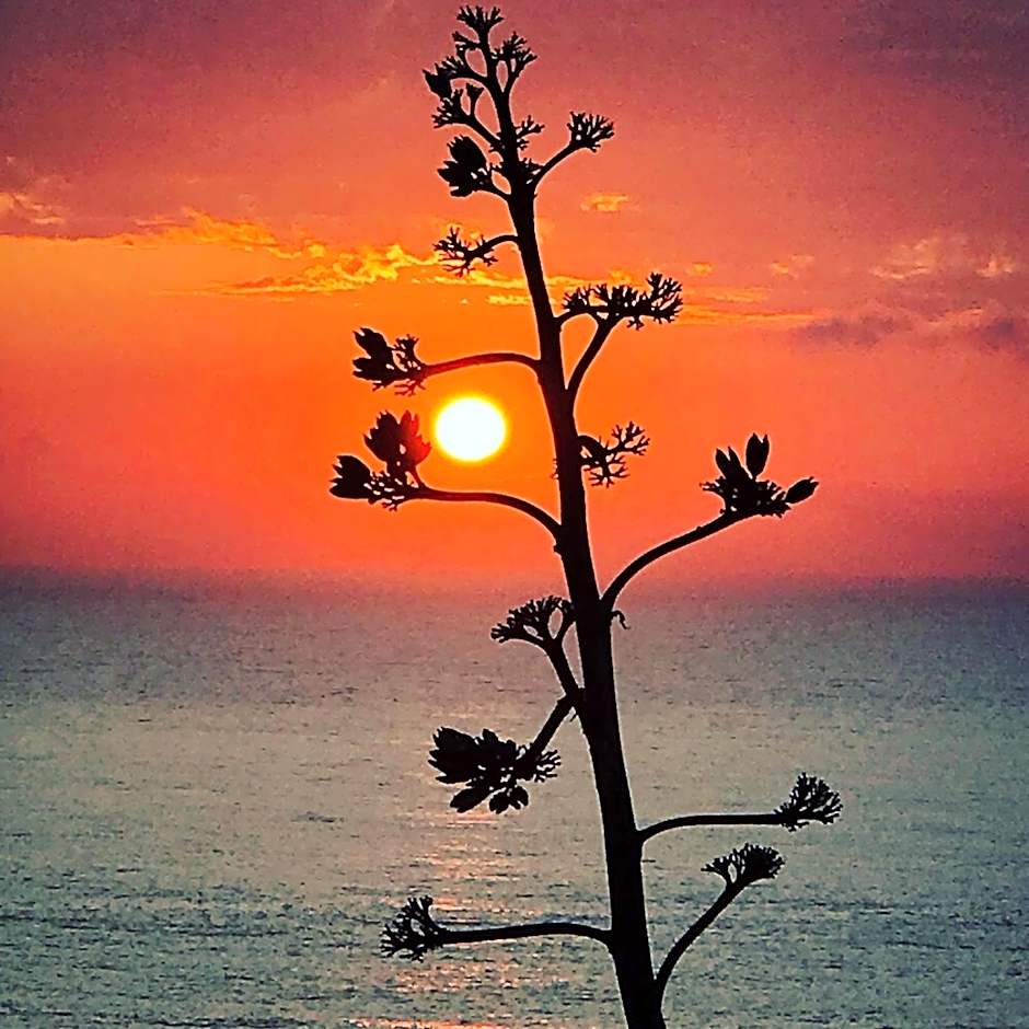 Arthouse Surf Ericeira