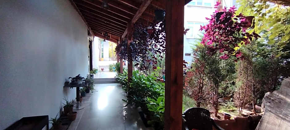 Ceneviz Suit Hotel