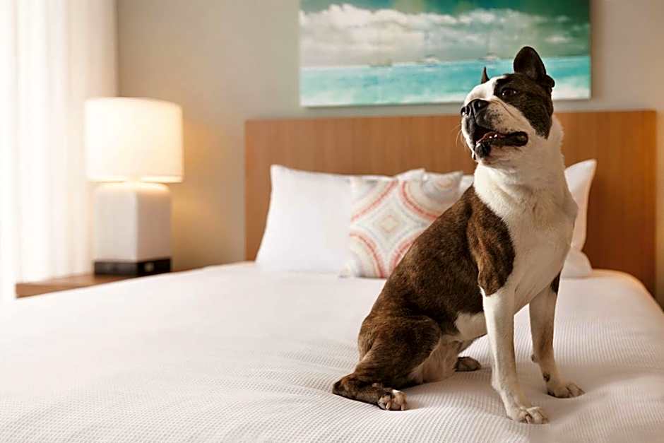 Hyatt House Virginia Beach/Oceanfront