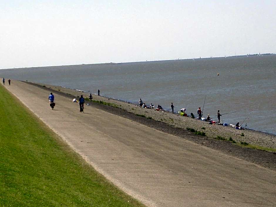 Bed and Breakfast De Zeehoeve