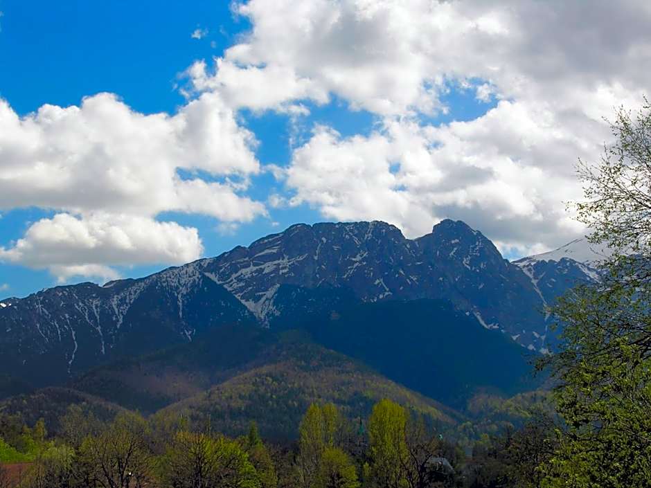 Domki Mroz