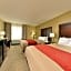 Comfort Inn and Suites Manheim